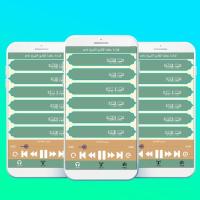 محمد اللحيدان قرآن بدون نت Muhammad Al Luhaidan APK 螢幕截圖圖片 #3