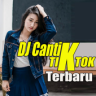 DJ Tiktok terbaru 2019 Application icon