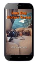 Cute Dog Picture Status APK Download for Android