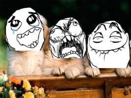 Rage Face Photo Editor APK Ekran Görüntüsü Küçük Resim #1