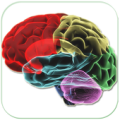 HUMAN BRAIN (PARTS-FUNCTIONS) Apk