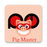 Pig Master Application icon