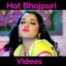 Bhojpuri World - Latest Videos HD Application icon