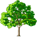 Family Tree (Unreleased) Apk