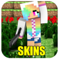 Girl Skins for Minecraft PE Apk