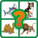 Animal Quiz : Guess The Picture APK