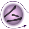 Merudi Spiritueel Levens Forum Application icon