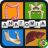 Quiz Anatomia em português Application icon