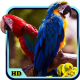 Bird Wallpaper APK