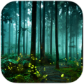 Forest Fireflies Best theme Apk