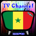 Info TV Channel Senegal HD Apk