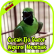 Cucak Ijo Gacor Ngerol Nembak APK