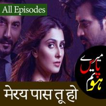 Meray Paas Tum Ho Pakistan Dramas Online APK Download for Android