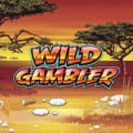 WILD GAMBLER(FREE SLOT MACHINE SIMULATOR) Apk