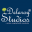 Delaroy Studios Channel Download on Windows