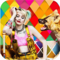 Harley Quinn Birds of Prey Wallpapers Apk