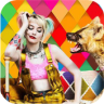 Harley Quinn Birds of Prey Wallpapers Application icon