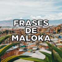 Изображения Frases de Maloka на ПК с Windows