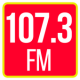 Radio 107.3 radio station app player free radio fm APK