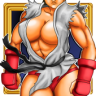 SHE´S FIGHTER X Woman Warriors Game icon