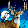 Deer Hunting American Sniper Shooting Game 2020 Game icon