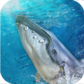 Blue Whale Challenge Apk