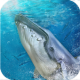 Blue Whale Challenge APK