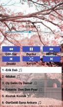 Oyun Havaları Dinle APK Download for Android