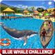 Blue Whale Angry Attack on Beach Simulator 2017 APK