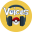 Voices of Pokémons Download on Windows