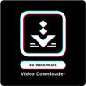 Tiktok Video Downloader Without Watermark Application icon