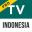 TV Indonesia Pro Download on Windows