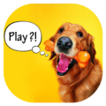 Bark Translator : Human To Dog Apk