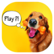 Bark Translator : Human To Dog APK