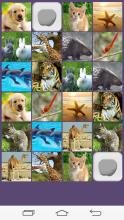 Animal Memory Game APK Download for Android