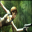 Tomb Raider Live Wallpaper Download on Windows