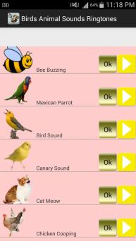 Birds Animal Sounds RingTones on Windows PC Download Free - 1.4 - com