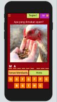 Maggot BSF Quiz 2020, Pondasi Bisnis Ternak Maggot APK تصویر نماگرفت #1