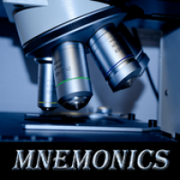 Pathology Mnemonics APK ícone