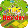 Guide for Hay Day Apk