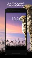 Cheetah Wallpapers HD APK צילום מסך #7