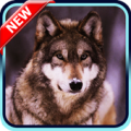 Wolf Wallpaper Apk