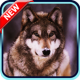 Wolf Wallpaper APK