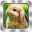 Bunny Video Wallpaper Download on Windows