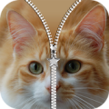 Kitty Zipper Lock Screen - Cat Ziplock Apk