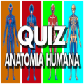 Quiz Anatomia Humana - Lite (Unreleased) Apk