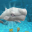 Guide for Hungry Shark Evolution Download on Windows