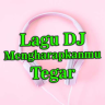 Lagu DJ Mengharapkanmu Tegar Application icon