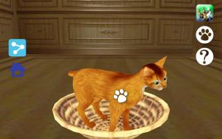 LOVE CAT!!  Abyssinian cat (Unreleased) APK Ảnh chụp màn hình #7