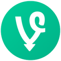 Download Vine videos APK ícone